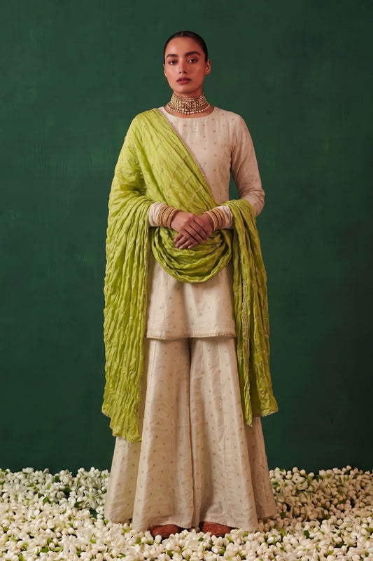 Heer Zari Embroidered Short Anarkali Kalidaar Palazzo Set With Tissue Dupatta