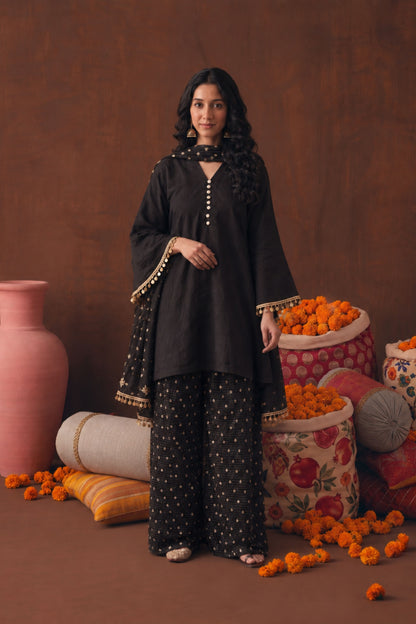 Chandani Raw Silk Kurta And Banarasi Salwar With Banarasi Dupatta